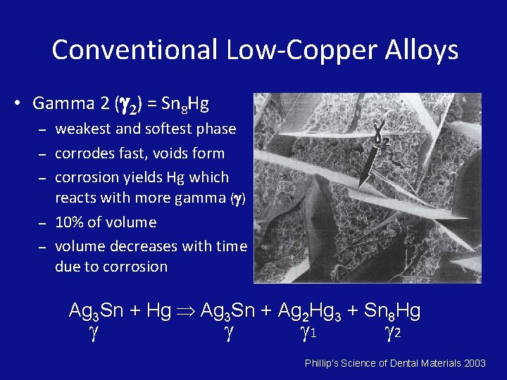 Conventional Low-Copper Alloys • Gamma 2 ( 2) = Sn 8 Hg – –