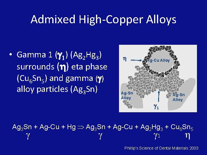 Admixed High-Copper Alloys • Gamma 1 ( 1) (Ag 2 Hg 3) surrounds (