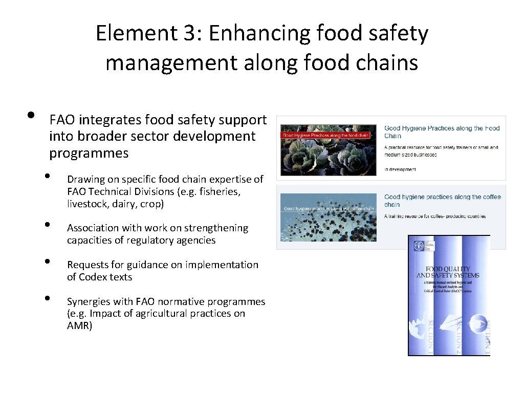 Element 3: Enhancing food safety management along food chains • FAO integrates food safety