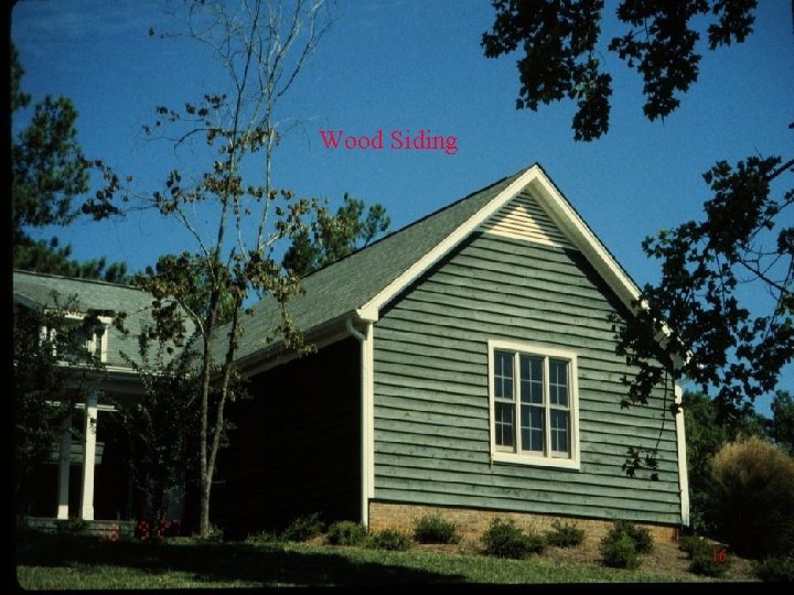 Wood Siding 16 