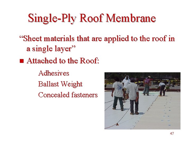 Single-Ply Roof Membrane “Sheet materials that are applied to the roof in a single