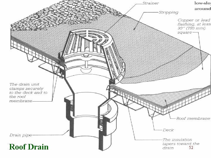 Roof Drain 52 