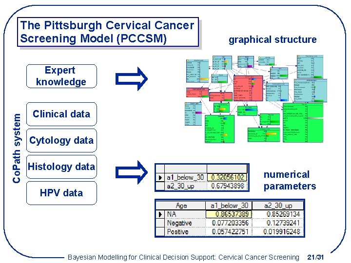 The Pittsburgh Cervical Cancer Screening Model (PCCSM) graphical structure Co. Path system Expert knowledge