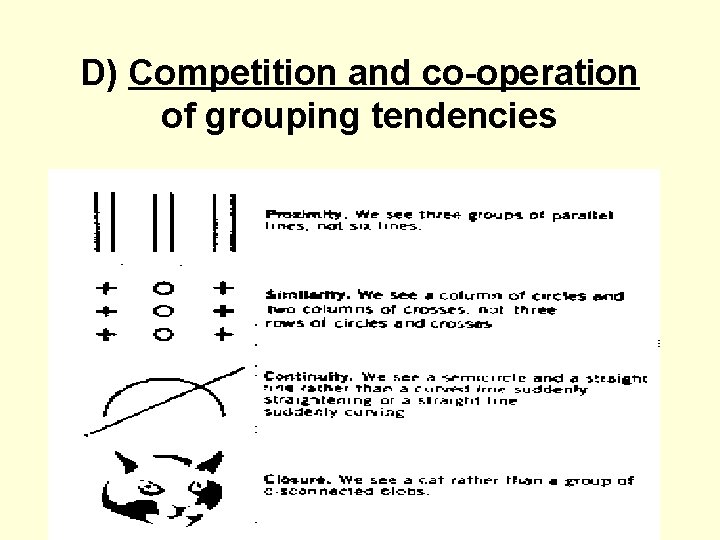 D) Competition and co-operation of grouping tendencies 