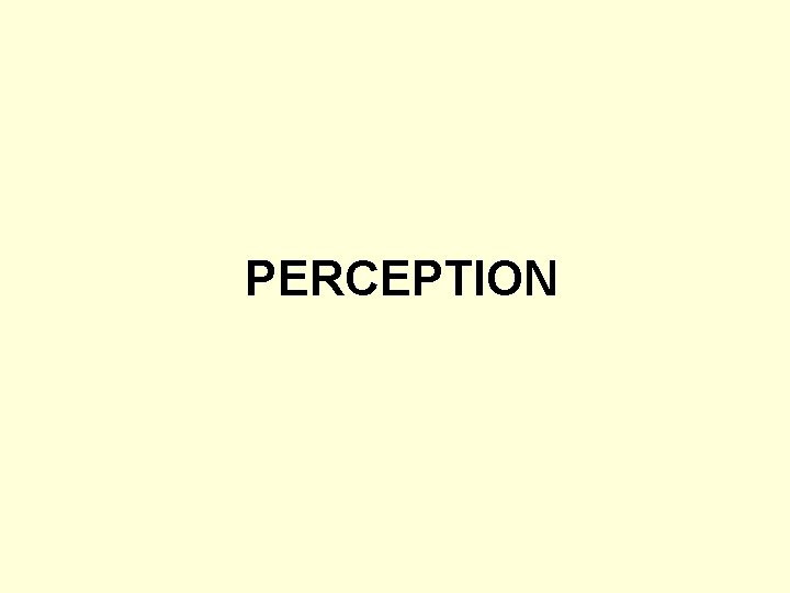 PERCEPTION  PERCEPTION