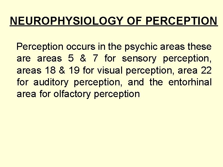 NEUROPHYSIOLOGY OF PERCEPTION Perception occurs in the psychic areas these areas 5 & 7