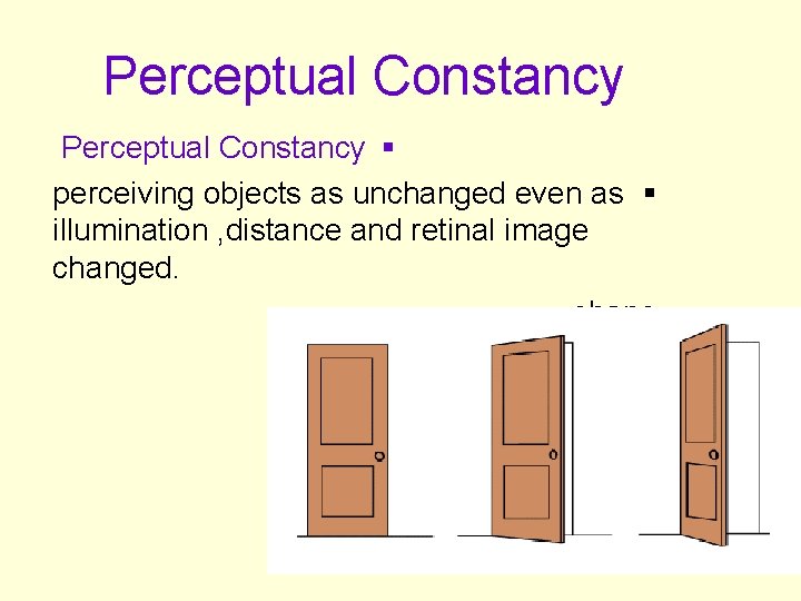 Perceptual Constancy § perceiving objects as unchanged even as § illumination , distance and