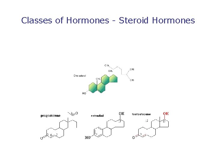 Classes of Hormones - Steroid Hormones 