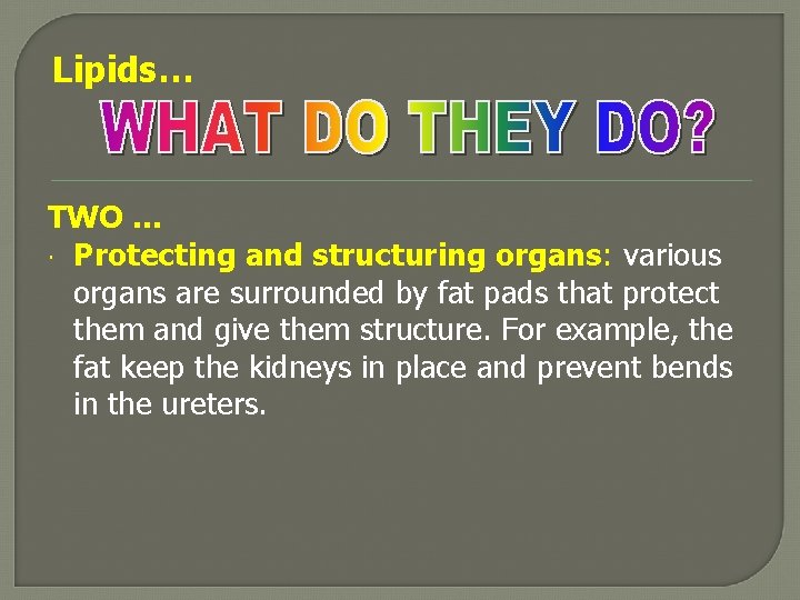 Lipids… TWO … Protecting and structuring organs: various organs are surrounded by fat pads