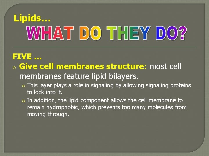 Lipids… FIVE … o Give cell membranes structure: most cell membranes feature lipid bilayers.