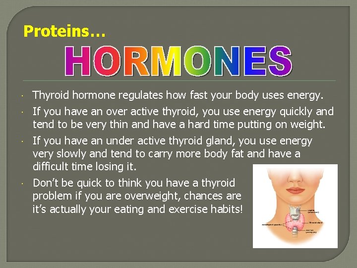 Proteins… Thyroid hormone regulates how fast your body uses energy. If you have an