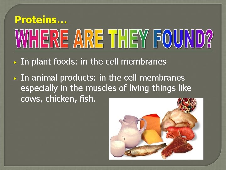 Proteins… • In plant foods: in the cell membranes • In animal products: in