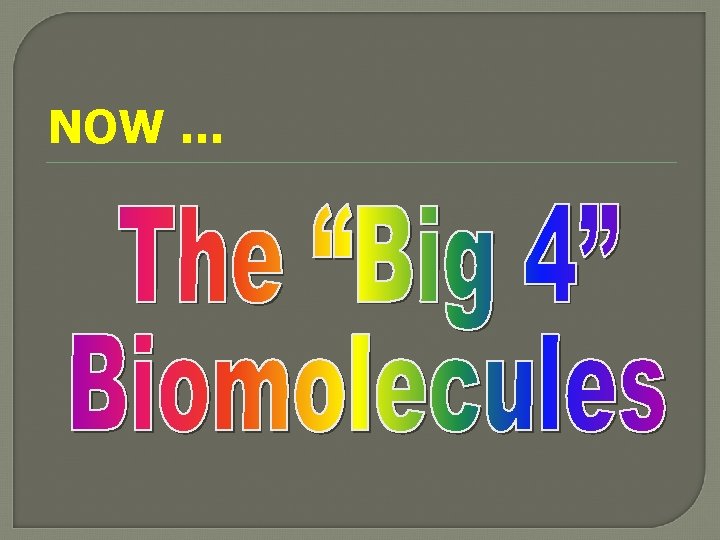 The building blocks of life Proteins lipids carbohydrates