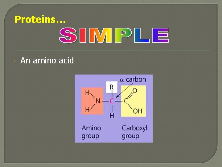 Proteins… An amino acid 