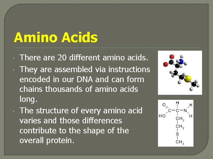 Amino Acids There are 20 different amino acids. They are assembled via instructions encoded