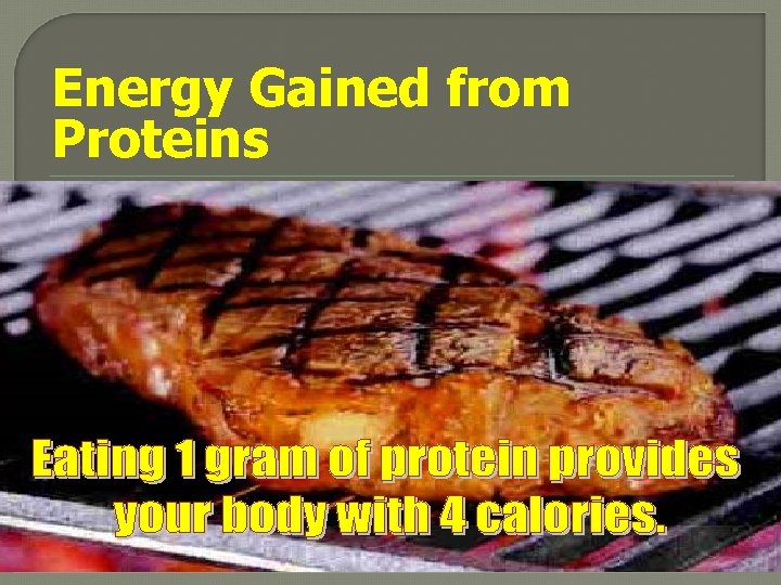 Energy Gained from Proteins 