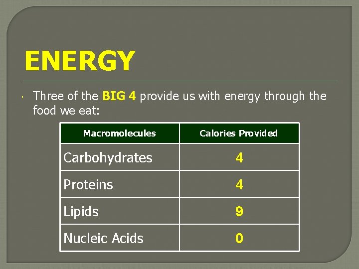 ENERGY Three of the BIG 4 provide us with energy through the food we