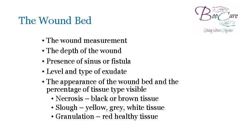 The Wound Bed • The wound measurement • The depth of the wound •