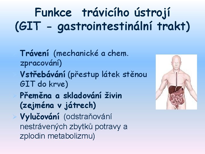 Funkce trávicího ústrojí (GIT - gastrointestinální trakt) Trávení (mechanické a chem. zpracování) Ø Vstřebávání