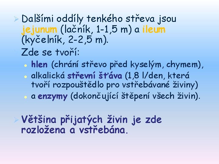 Ø Dalšími oddíly tenkého střeva jsou jejunum (lačník, 1 -1, 5 m) a ileum