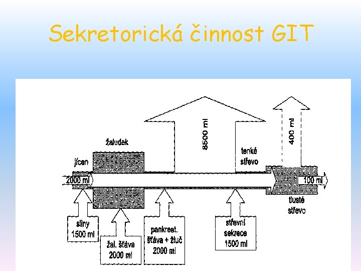 Sekretorická činnost GIT 