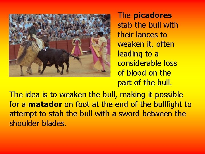 The picadores stab the bull with their lances to weaken it, often leading to