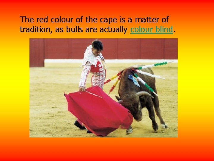 The red colour of the cape is a matter of tradition, as bulls are