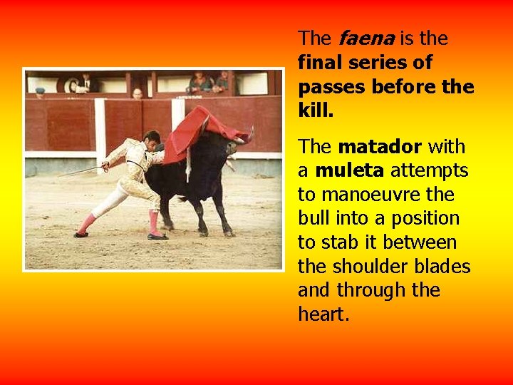 The faena is the final series of passes before the kill. The matador with