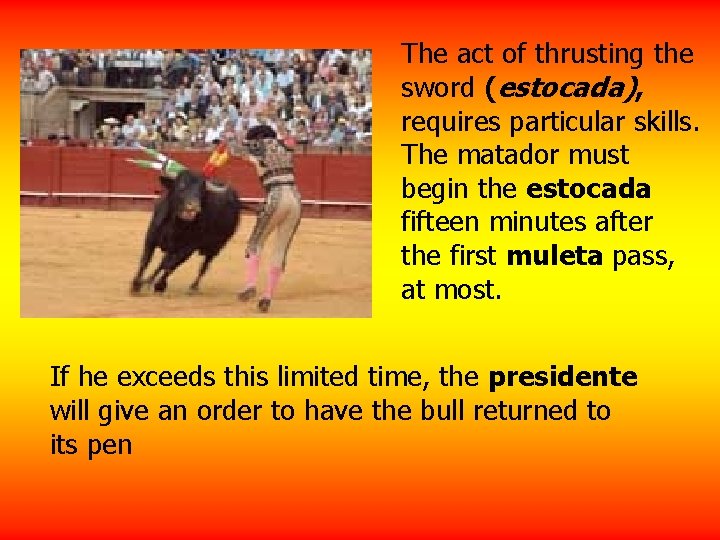 The act of thrusting the sword (estocada), requires particular skills. The matador must begin