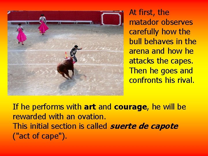 At first, the matador observes carefully how the bull behaves in the arena and
