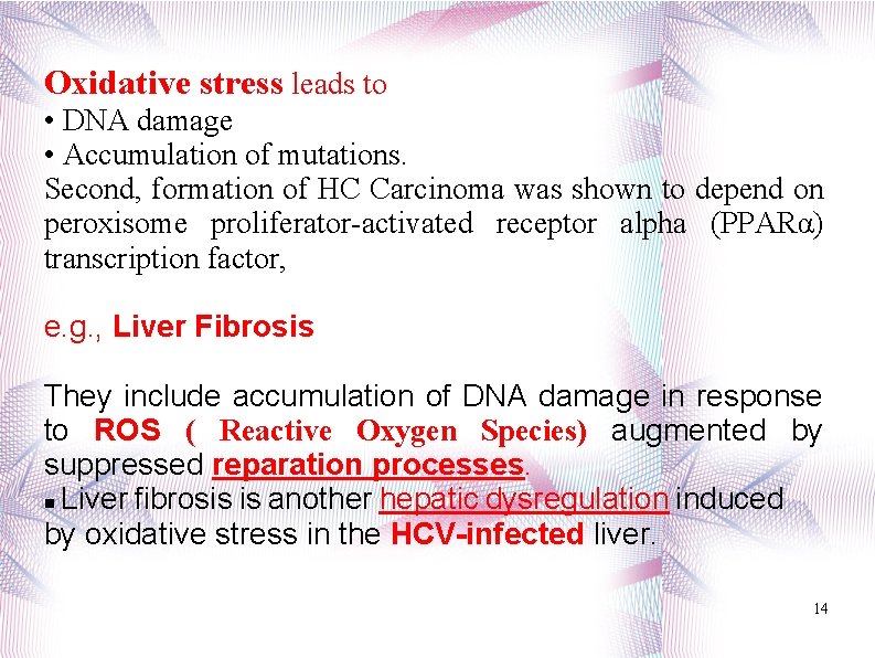 Oxidative stress leads to • DNA damage • Accumulation of mutations. Second, formation of