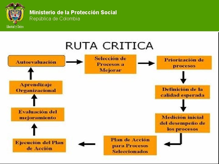 Ministerio de la Protección Social República de Colombia 