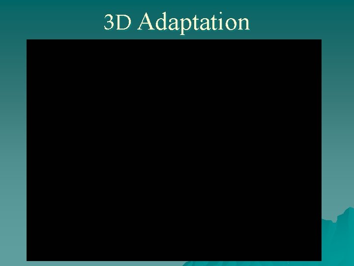 3 D Adaptation 