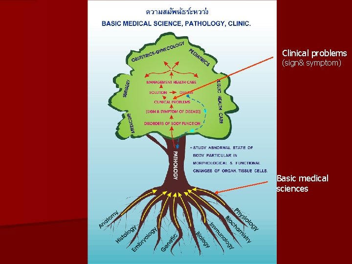 Clinical problems (sign& symptom) Basic medical sciences 