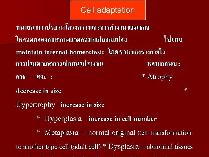 Cell adaptation หมายถงการปรบทงโครงสรางและการทำงานของเซลล ใหสอดคลองกบสภาพแวดลอมทเปลยนแปลง ไปเพอ maintain internal homeostasis โดยรวมของรางกายใว การปรบตวเกดการเปลยนรปรางขน หลายลกษณะ อาธ เชน ;