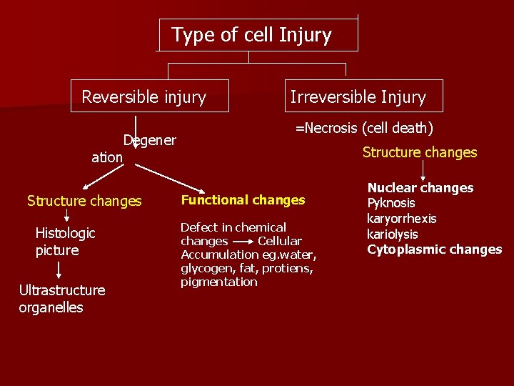 Type of cell Injury Reversible injury Degener ation Structure changes Histologic picture Ultrastructure organelles