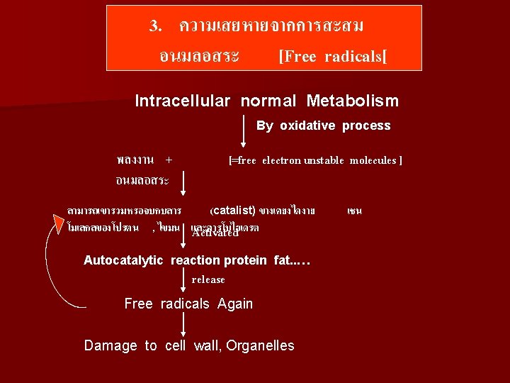 3. ความเสยหายจากการสะสม อนมลอสระ [Free radicals[ Intracellular normal Metabolism By oxidative process พลงงาน + อนมลอสระ