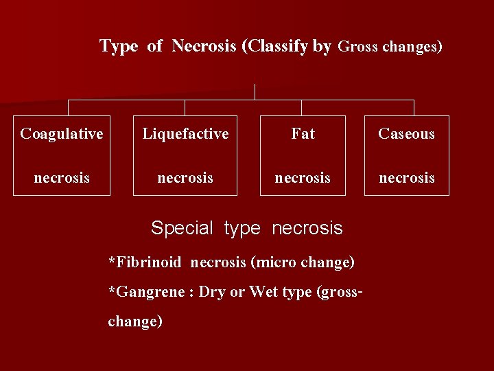 Type of Necrosis (Classify by Gross changes) Coagulative Liquefactive Fat Caseous necrosis Special type