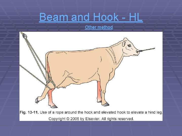 Beam and Hook - HL Other method Beam and Hook - HL Other method