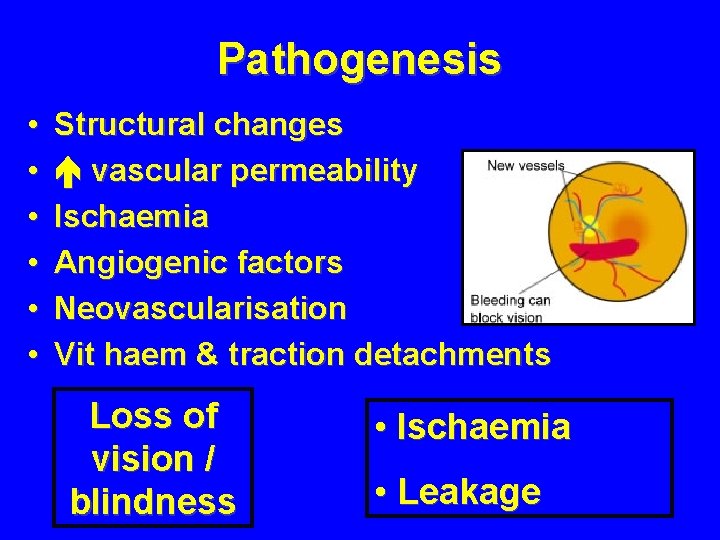 Pathogenesis • • • Structural changes vascular permeability Ischaemia Angiogenic factors Neovascularisation Vit haem