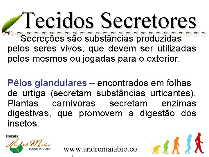 Tecidos Secretores Secreções são substâncias produzidas pelos seres vivos, que devem ser utilizadas pelos