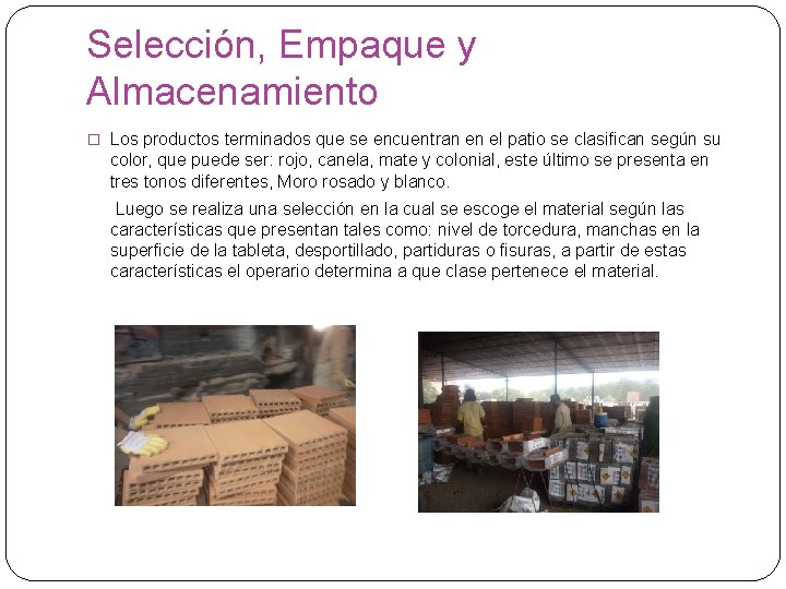 Selección, Empaque y Almacenamiento � Los productos terminados que se encuentran en el patio