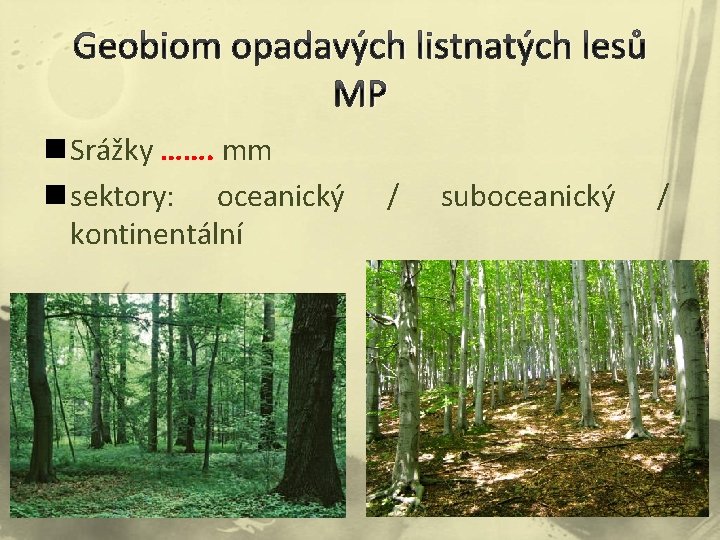 Geobiom opadavých listnatých lesů MP n Srážky ……. mm n sektory: oceanický kontinentální /
