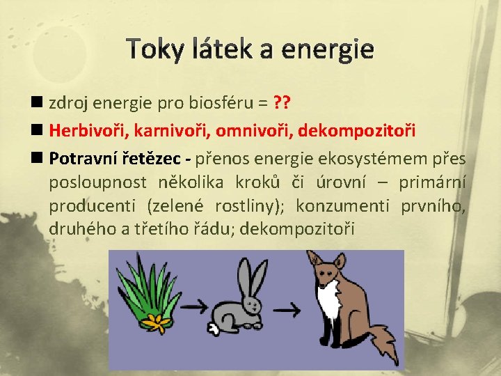 Toky látek a energie n zdroj energie pro biosféru = ? ? n Herbivoři,