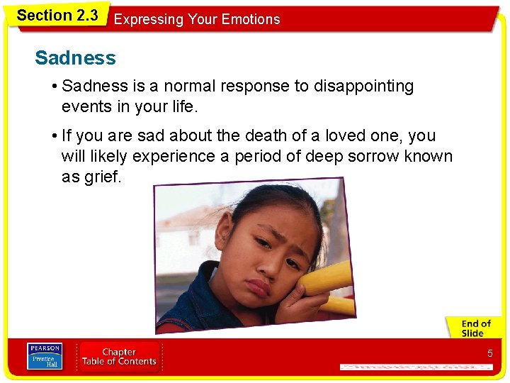 Section 2. 3 Expressing Your Emotions Sadness • Sadness is a normal response to