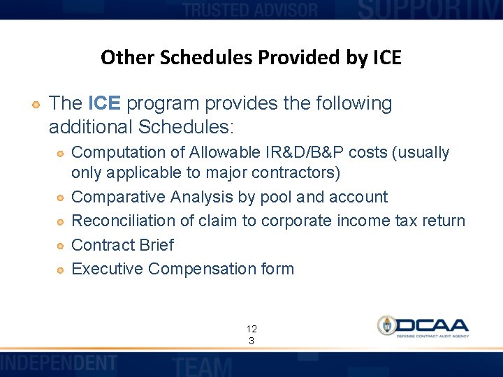 Other Schedules Provided by ICE The ICE program provides the following additional Schedules: Computation