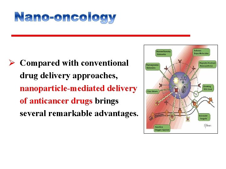Ø Compared with conventional drug delivery approaches, nanoparticle-mediated delivery of anticancer drugs brings several
