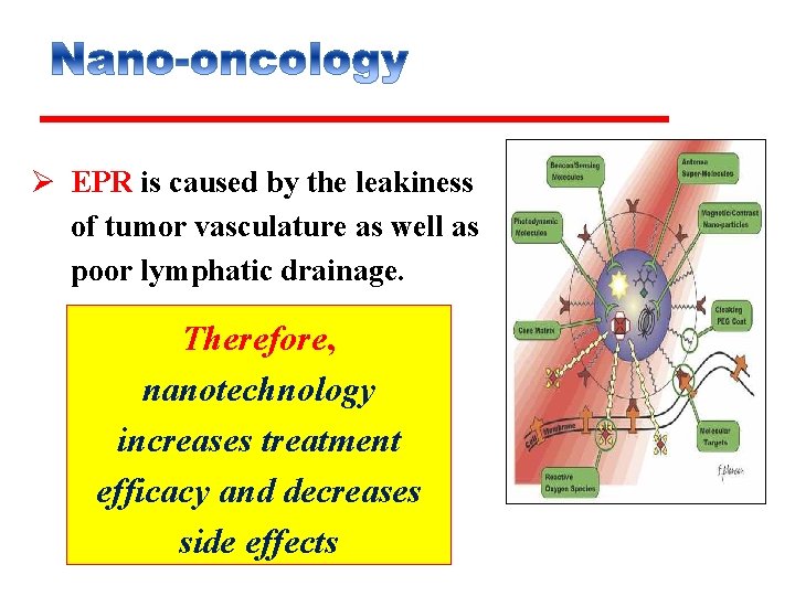 Ø EPR is caused by the leakiness of tumor vasculature as well as poor
