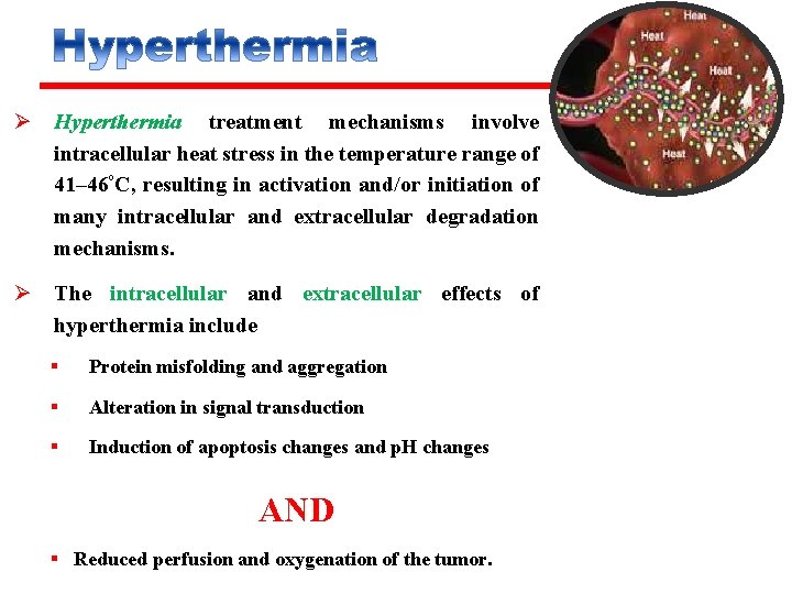 Ø Hyperthermia treatment mechanisms involve intracellular heat stress in the temperature range of 41–