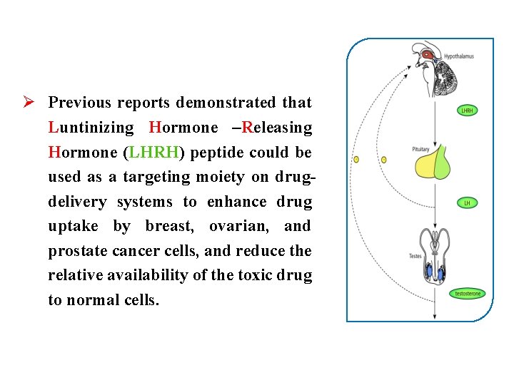 Ø Previous reports demonstrated that Luntinizing Hormone –Releasing Hormone (LHRH) peptide could be used